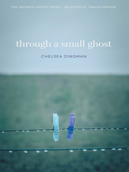 Title details for Through a Small Ghost by Chelsea Dingman - Available